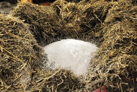 Claims around the safety of feed additive Bovaer 'completely false' - Arla Claims around the safety of feed additive Bovaer 'completely false' - Arla