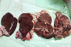 Deciding what liver fluke product to use Deciding what liver fluke product to use