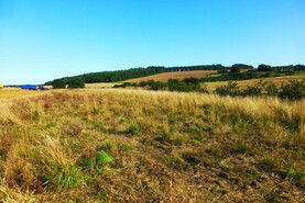 IFA calls on Department to sort out ACRES issues 'once and for all' IFA calls on Department to sort out ACRES issues 'once and for all'