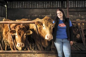 Cattle and supermodels Cattle and supermodels