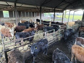 700 farmers apply for Organic Farming Scheme 700 farmers apply for Organic Farming Scheme