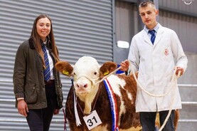 Lisglass and Haystar set the standard at Simmental calf show Lisglass and Haystar set the standard at Simmental calf show