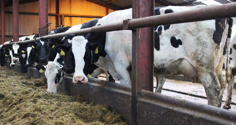 Major changes to NI milk pricing in 2025