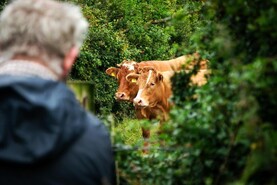 Drive for sustainability has to go both ways Drive for sustainability has to go both ways