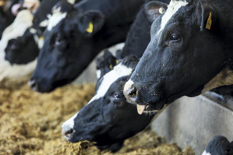 Dairy farm incomes to reach over €110,000