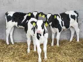 MLAs oppose Muir on farm penalty changes MLAs oppose Muir on farm penalty changes