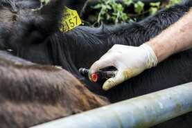 Three main parts to Dooher TB review Three main parts to Dooher TB review