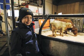 Martbids Database: cattle trade hits new highs Martbids Database: cattle trade hits new highs