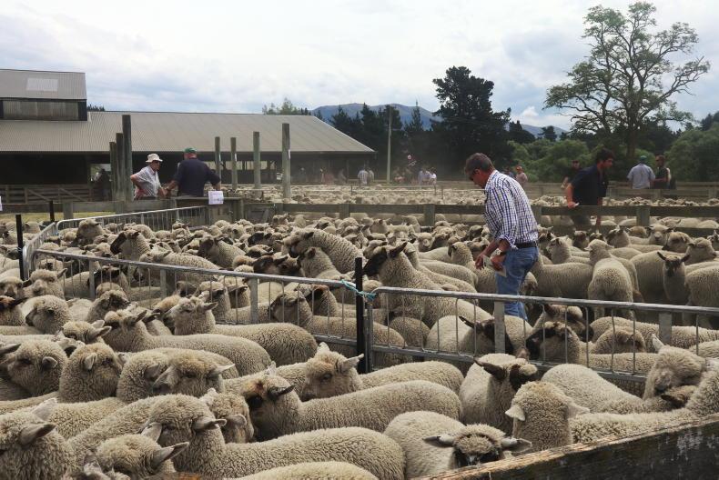Market Digest: stories from around the world