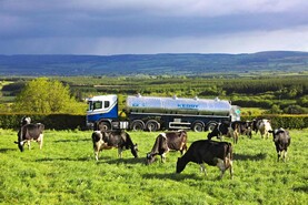 Editorial: divided shareholding on Kerry deal Editorial: divided shareholding on Kerry deal