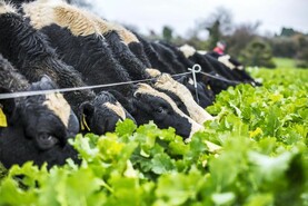 Farm payments – a mixed bag Farm payments – a mixed bag