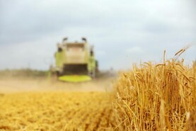 Tillage farm incomes to rebound to €42,000 next year 