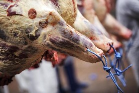 South Korea lifts suspension on Irish beef