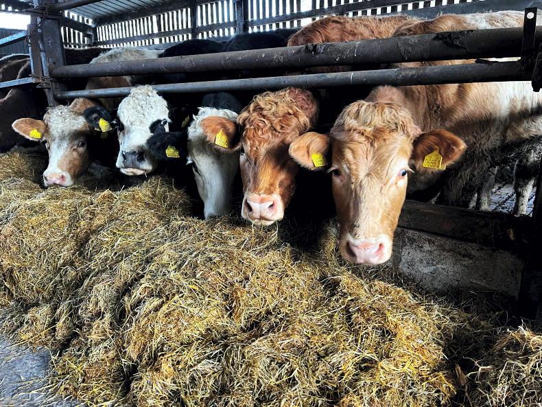 Reducing the risk of listeriosis in silage diets