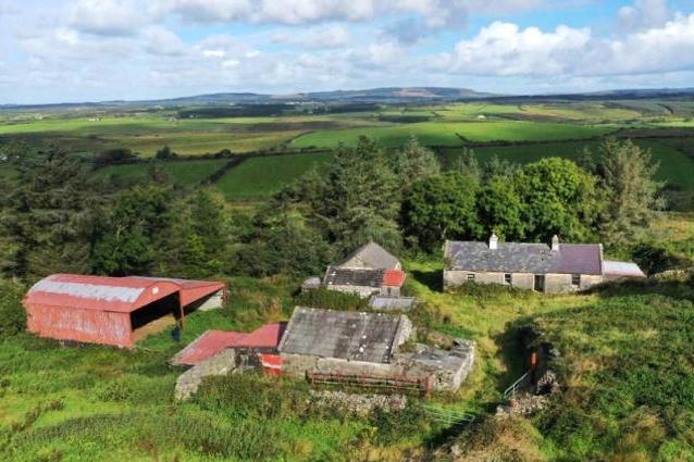 Traditional fare in Co Clare as 34.4ac farm up for auction