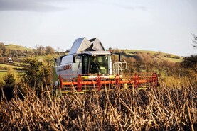 Protein Aid Scheme payments worth €9m on the way to tillage farmers Protein Aid Scheme payments worth €9m on the way to tillage farmers