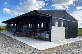 TAMS tranche six closed for submissions until 9 January 2025 TAMS tranche six closed for submissions until 9 January 2025