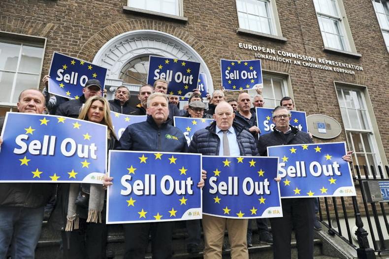 What the Mercosur deal means for Irish farmers     