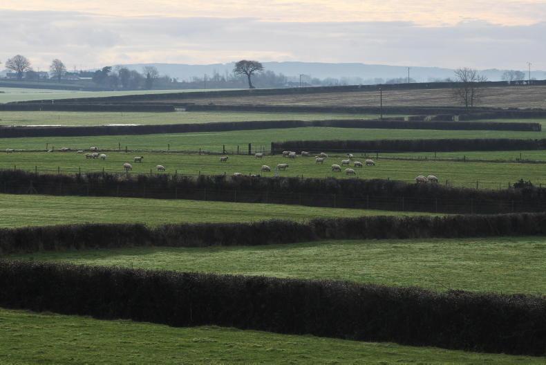Balancing Eco Scheme payments on way to farmers' accounts