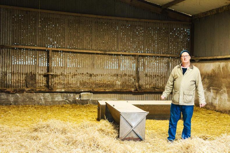 Over 700 ducks and eggs seized by Department on Wicklow farm