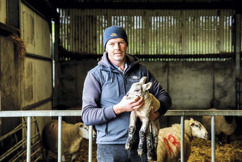My Farming Week: Derek Allen, Four Mile House, Co Roscommon
