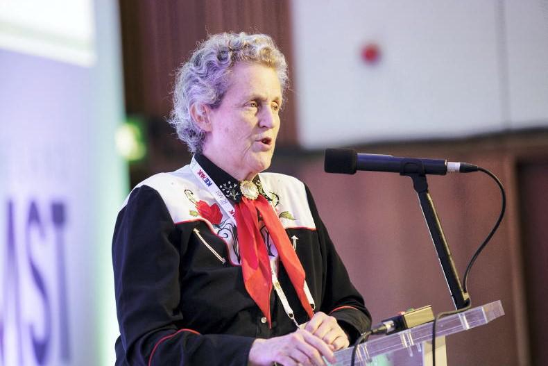 Ensuring safe cattle handling: an overview of the Grandin approach