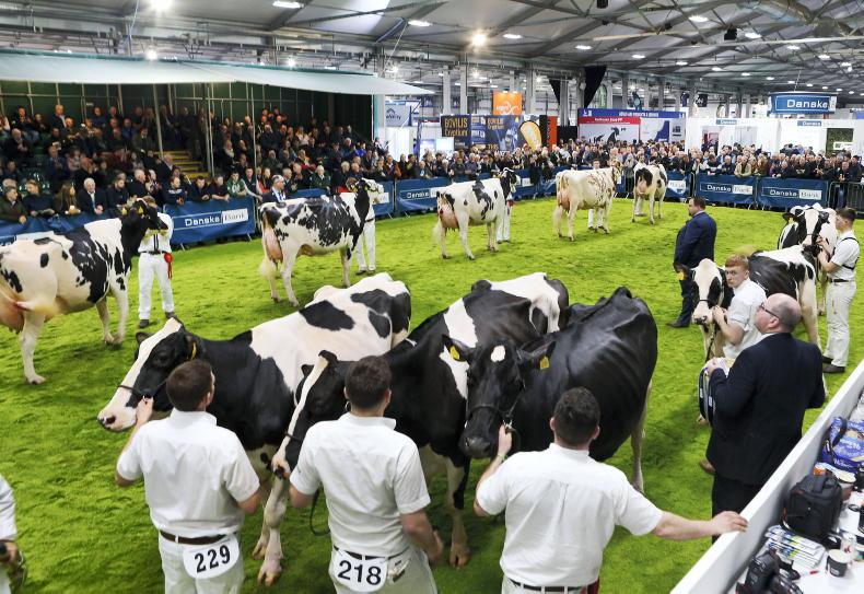 Steady outlook for NI milk production