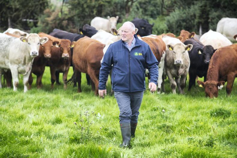 IFA made operating loss of almost €900,000 last year