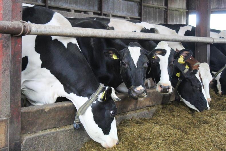 NI milk league: Tirlán makes it an Autumn hat-trick in NI
