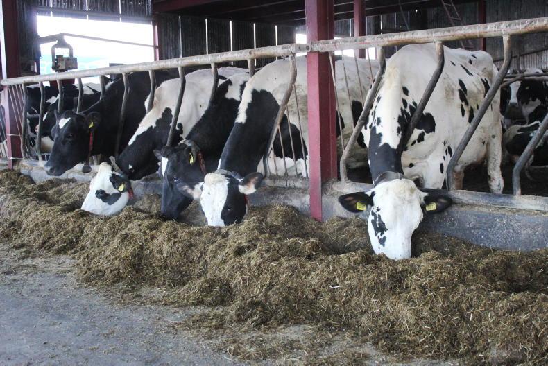 NI milk leagues: A+B-C payments keep Tirlán top of 1m-litre leagues