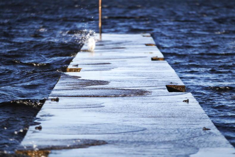 Fallen trees expected from 110km/hr gusts this weekend