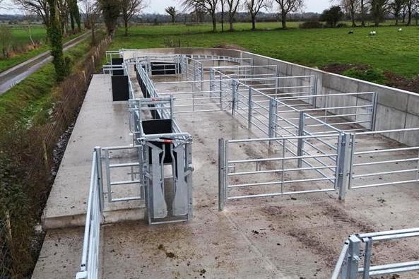 New Galway yard makes handling 100 cattle a one-person operation