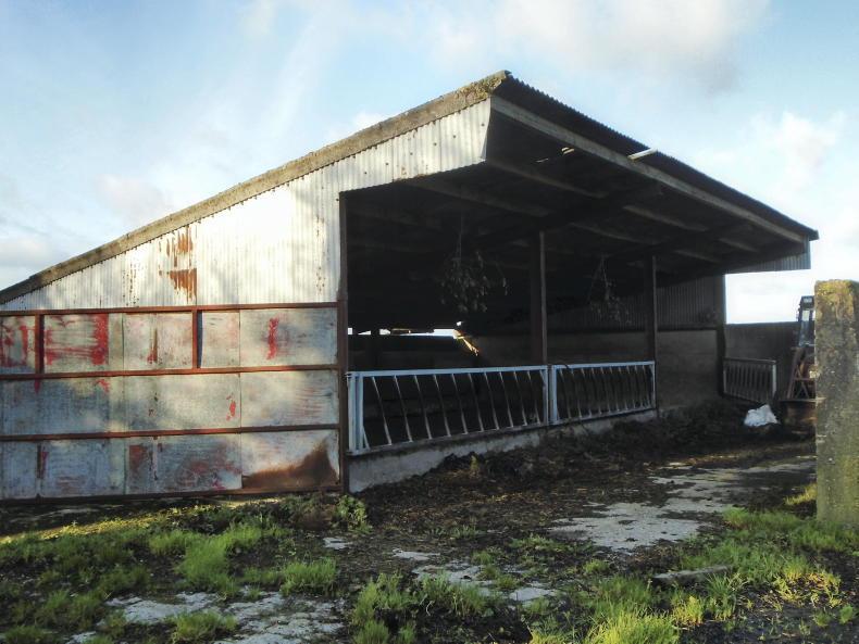 Sizeable farm with seven-year lease in Kilkenny