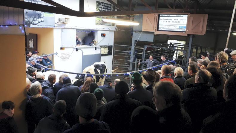Sucklers steal the show in Newport Christmas sale