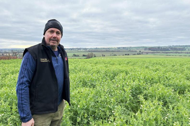 Watch: cover and companion crops in Co Louth