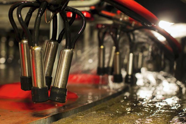 Agri jobs: farm with 44-point rotary parlour needs new assistant