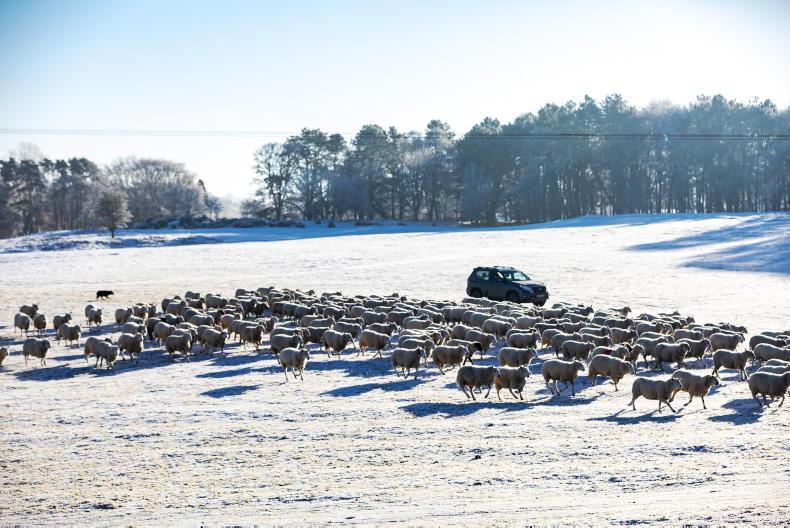 Weekend weather: windchills, frost and snow