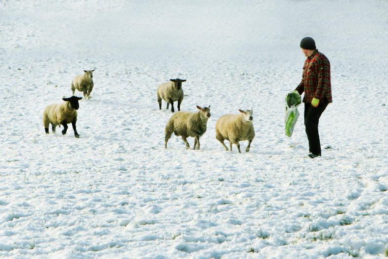 Significant snowfall expected in parts of Munster and Leinster