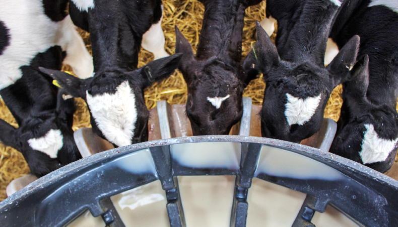 Update: Teagasc to host calf care events around the country