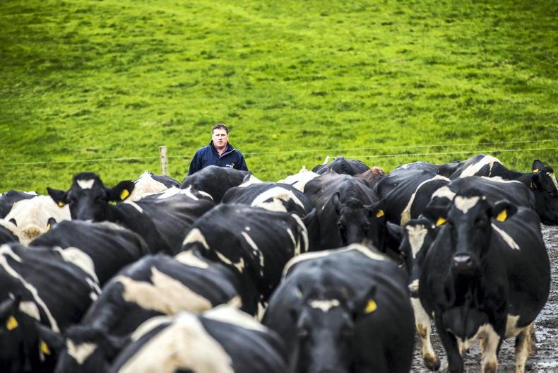 'The end of this chapter' - Carlow farmer sells his cows