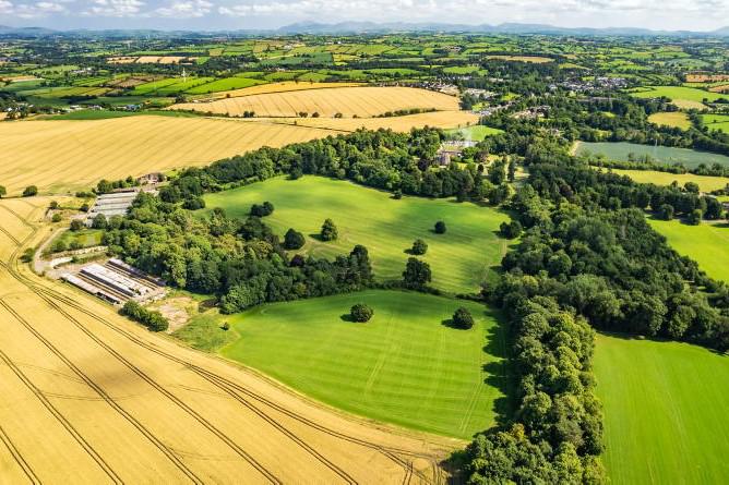 Land Report: Average price surpasses £20,000/ac in Armagh