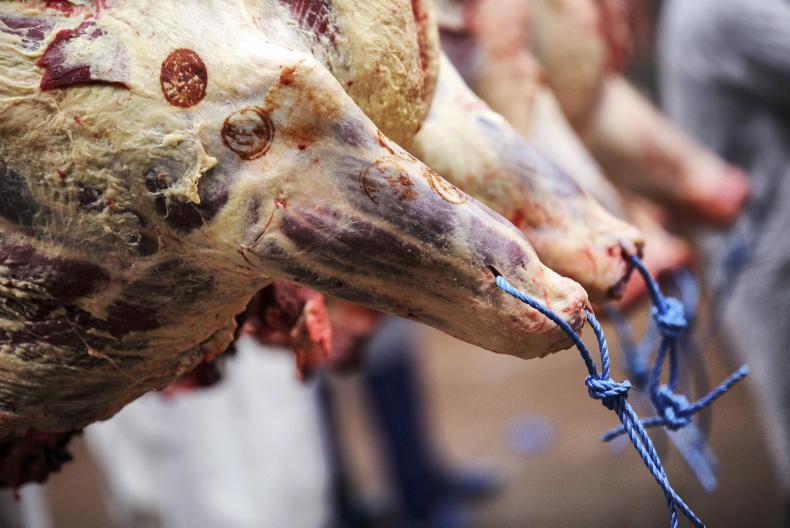 Beef prices: quotes rising by the day   