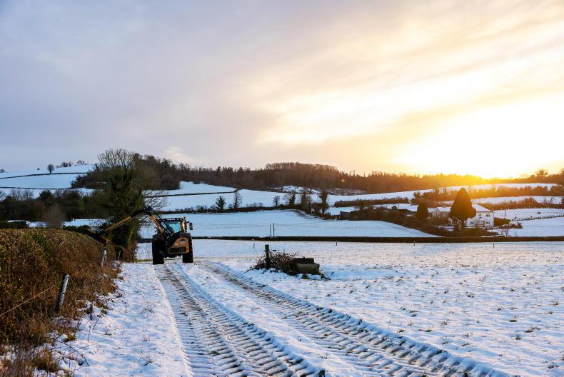 In pictures: the week Ireland and its livestock got covered in snow