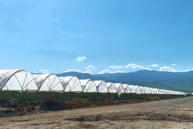 Lessons in sustainable horticulture 