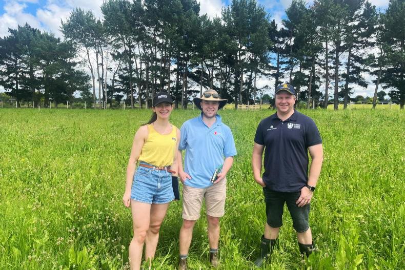 Alternative grassland management to address the nitrates challenge