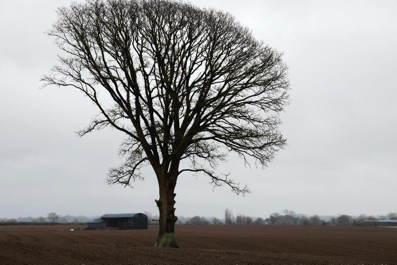 Weekend weather: overcast, breezy and mostly dry 