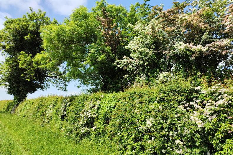 RDS sustainable agriculture awards open for entries