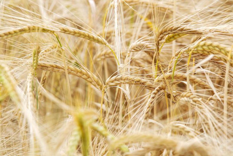 Dempsey at Large: Oxford Farming Conference report