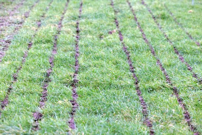 Farmer Writes: best-laid plans can well and truly go away