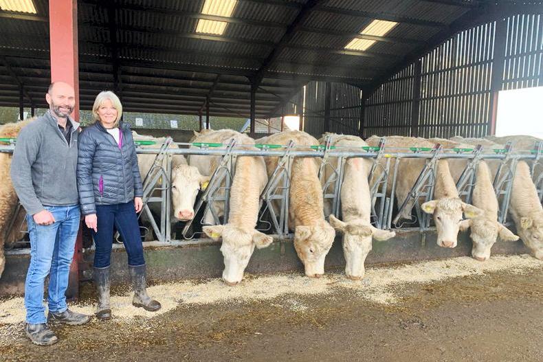 Breeding Stirling champions is something Elrick knows all about